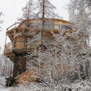 Центр кластерного развития рассказал об итогах уходящего года